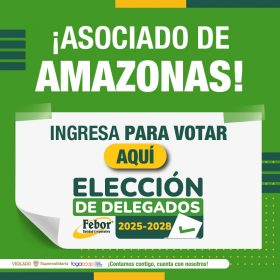 Amazonas