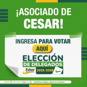 Cesar