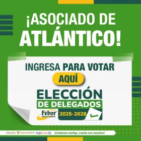 BANNER VOTACIONES_Mesa de trabajo 1